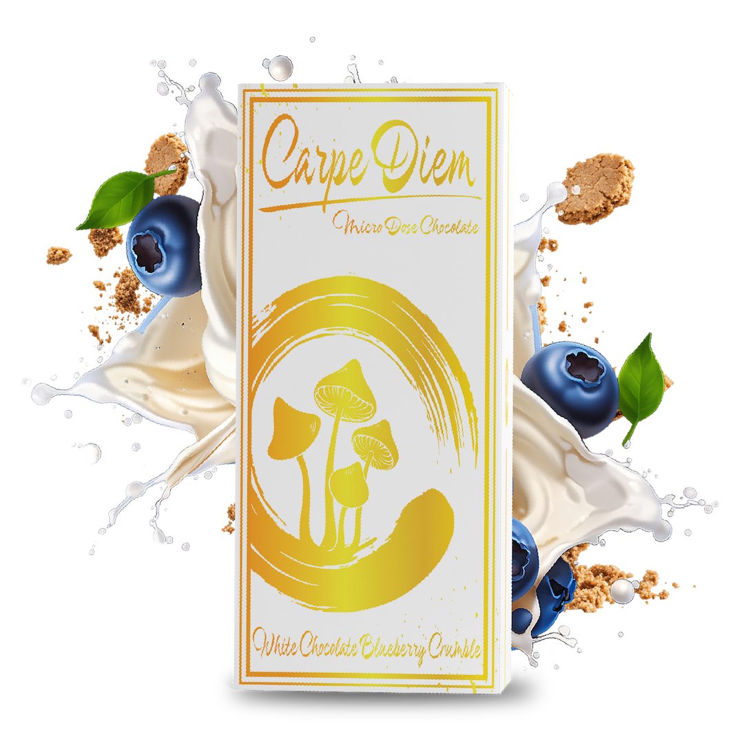CARPE DIEM MUSHROOM BAR WHITE CHOCOLATE BLUEBERRY CRUMBLE