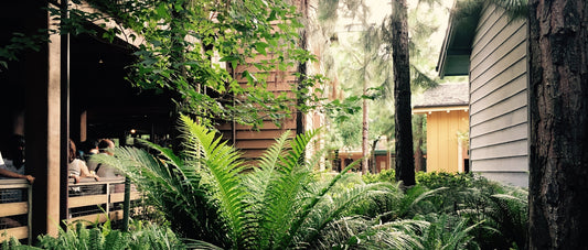 green plants near brown concrete building