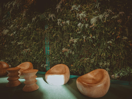 a group of wooden chairs sitting in front of a green wall