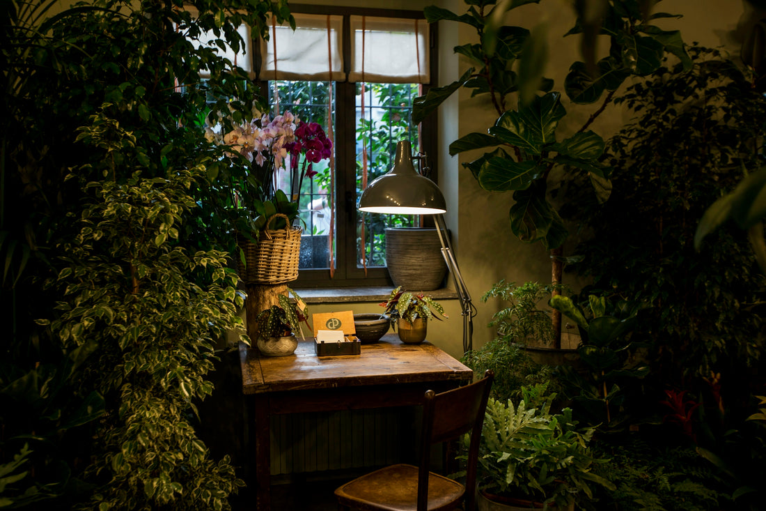 a desk with a lamp and some plants