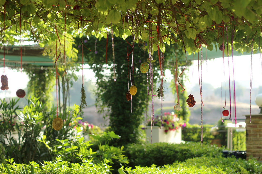 a bunch of beads hanging from a tree