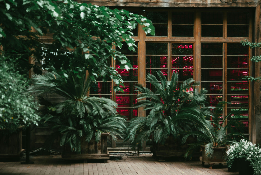 a room filled with lots of plants next to a window