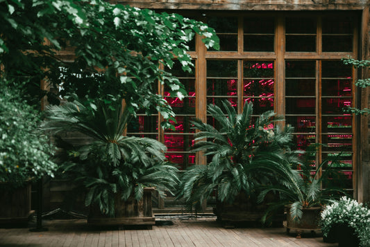 a room filled with lots of plants next to a window