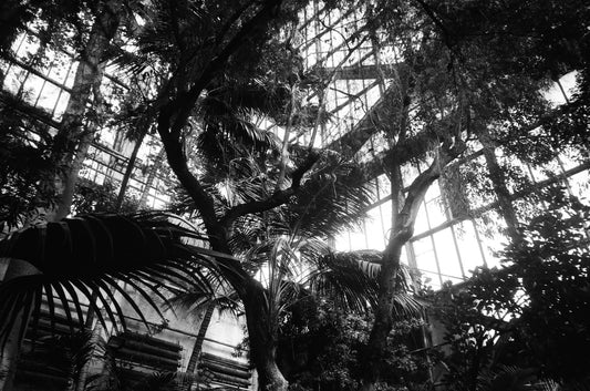 A black and white photo of the inside of a building