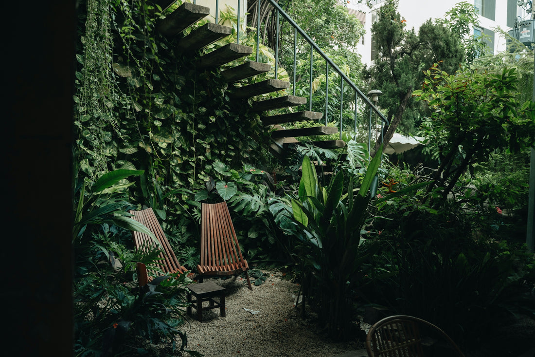 Outdoor seating area with lush greenery and stairs