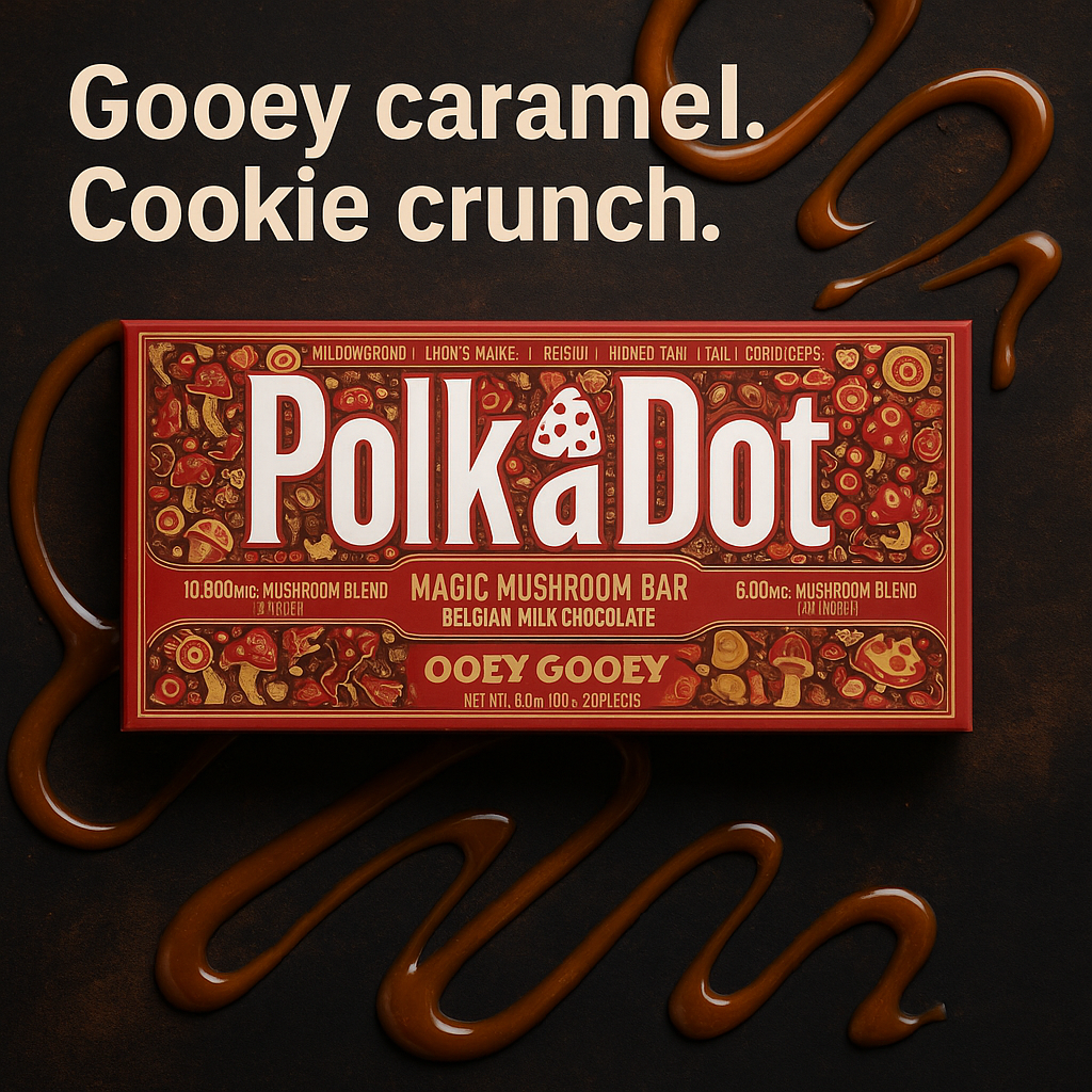 Polkadot Ooey Gooey | Buy 10,000mg Gourmet Mushroom Chocolate Bar