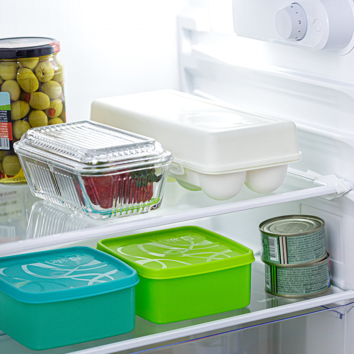 Fujima Double Wall Glass Storage Container 3.8 Inch - Fujima