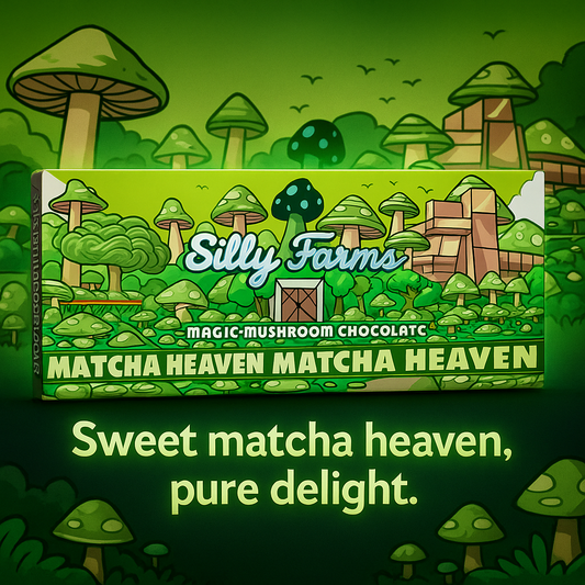 Matcha Mushroom White Chocolate Bar – Silly Farms Matcha Heaven